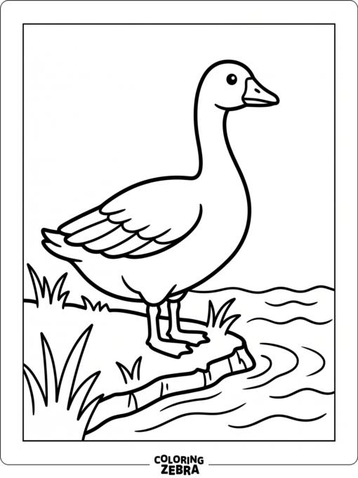 A goose stands by the water with folded wings
