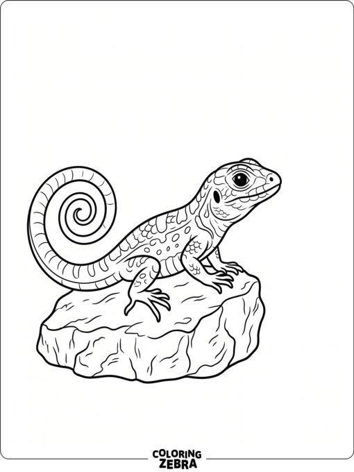A simple lizard on a stone with a curled tail