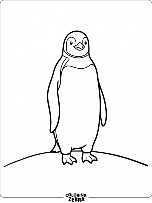 A penguin standing on a snowy hill
