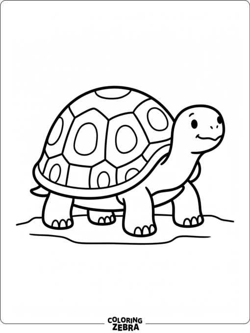 A turtle outline with a rounded shell and small feet