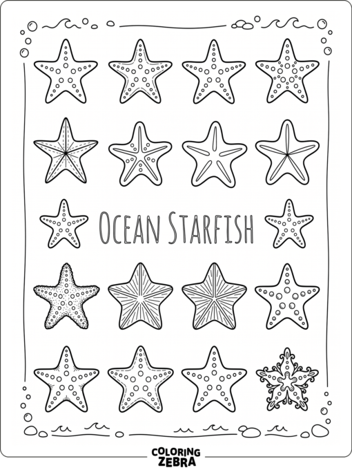 Different starfish shapes in a simple ocean layout