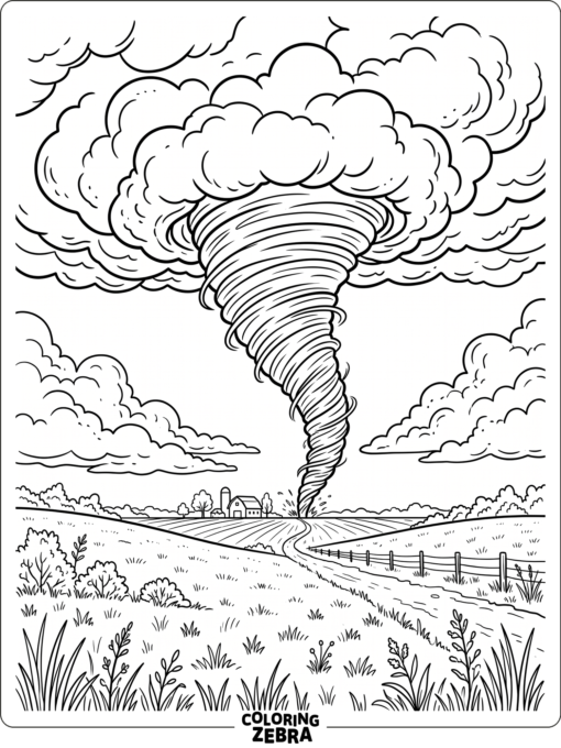 A cone-shaped tornado over a grassy field
