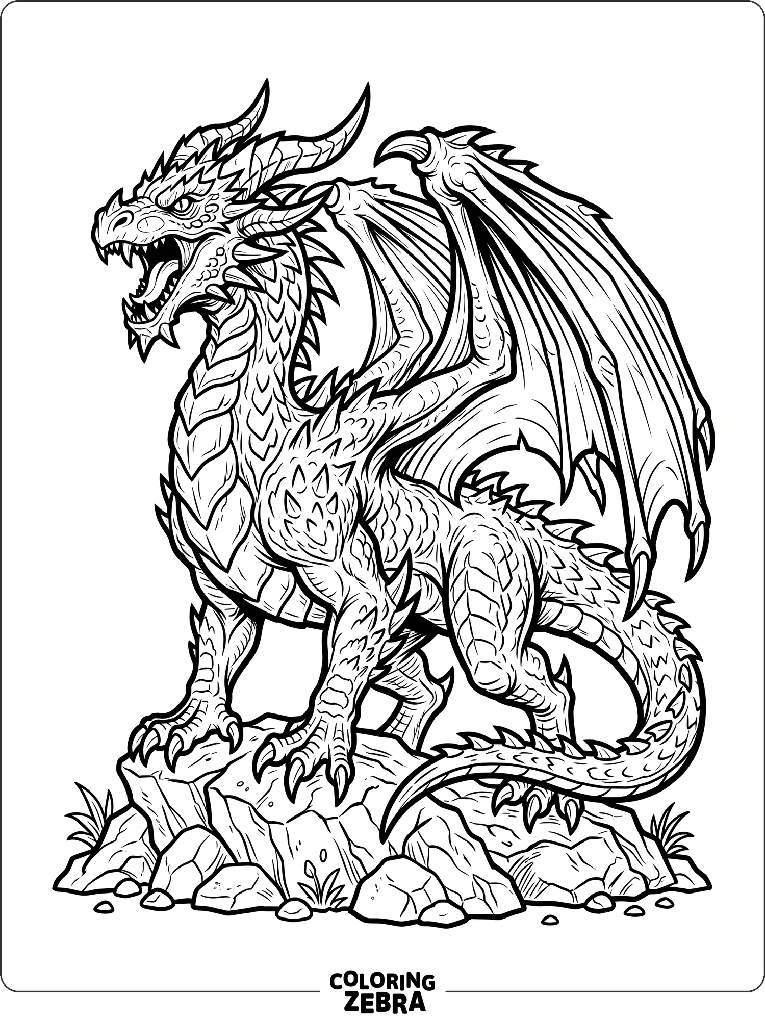 A cool dragon with folded wings