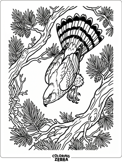 A Cooper hawk diving through pine branches