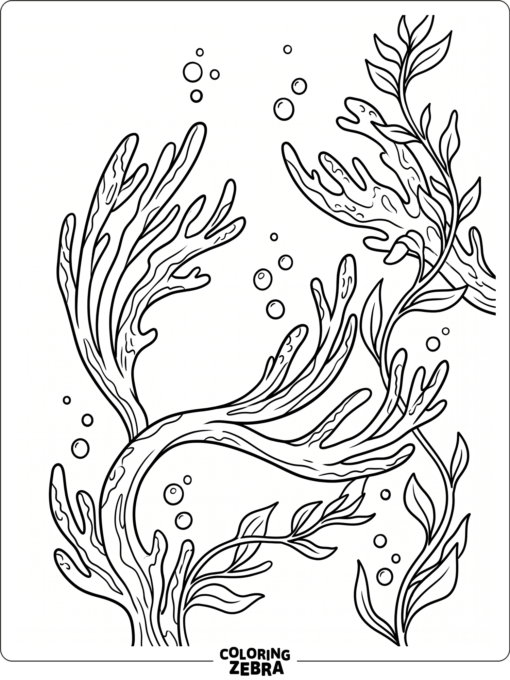 Coral fans and seaweed growing on the reef