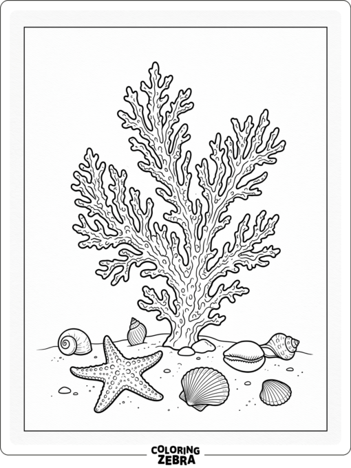 A coral branch with shells and a starfish