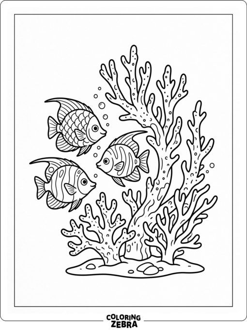 Two tropical fish swimming near coral branches