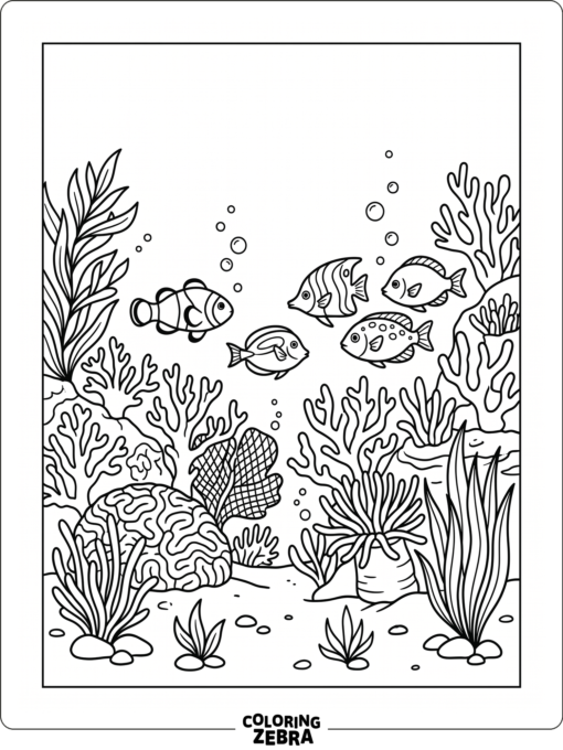 Tropical fish swimming above coral heads