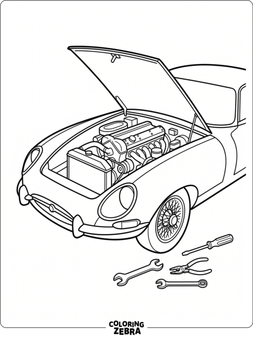 A sports car with its hood open and engine details inside
