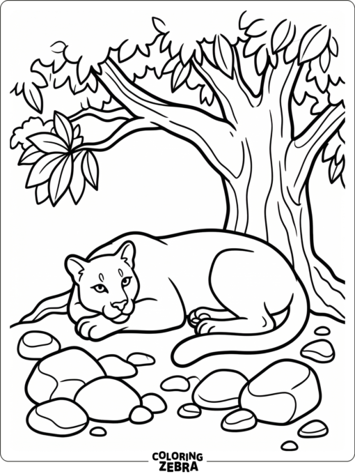 A cougar resting under a tree