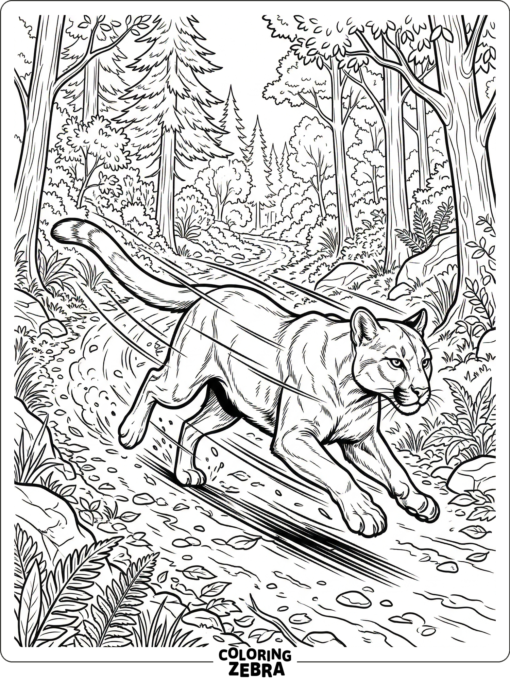 A cougar sprinting across a forest trail