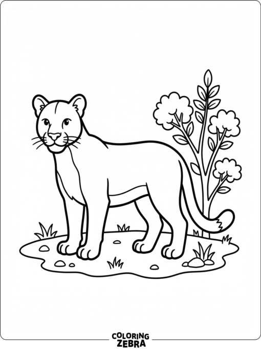 A simple cougar standing beside a bush