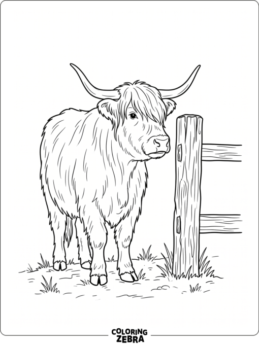 A tall highland cow stands beside a wooden post in a simple outdoor scene.