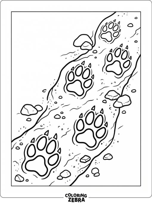 Coyote tracks crossing sandy ground