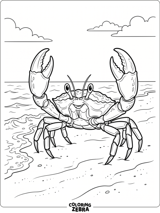 A crab with raised claws on a clean shoreline