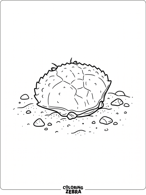 A crab shell resting on sand with a few pebbles