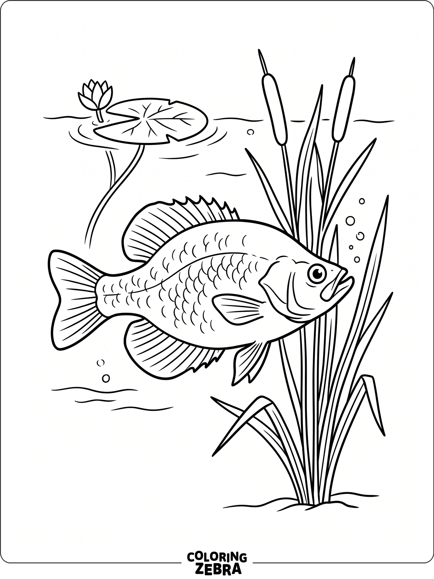 67 Free Fish Coloring Pages - Printable PDF Sheets