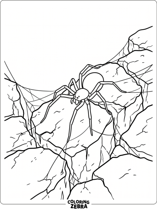 A creepy spider crawling over cracked stones