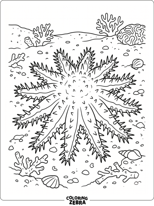 A crown of thorns starfish with spiky arms