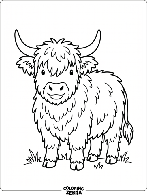 A fluffy cow with a thick coat and rounded horns stands in a clean open space.