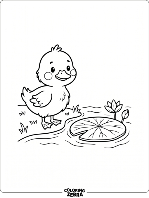 A cute baby duckling beside a lily pad