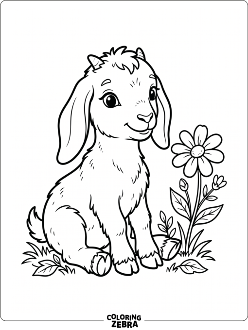 An adorable baby goat sitting by a flower