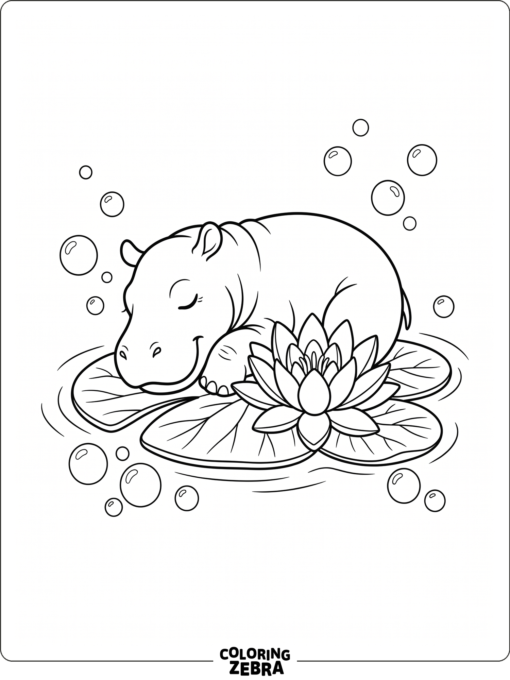 A baby hippo curled beside a water lily