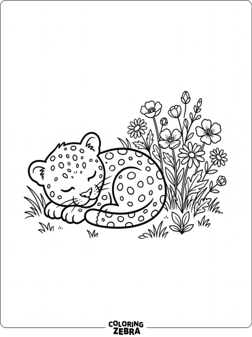 A cute baby leopard curled up beside a flower patch