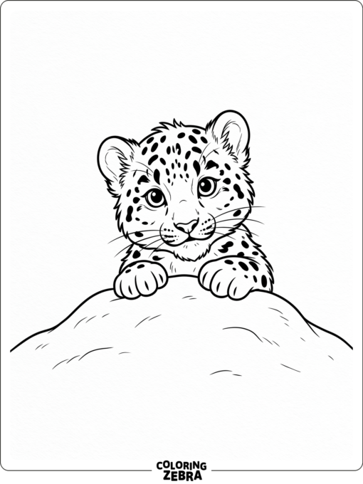 A cute baby snow leopard peeking over a snow mound