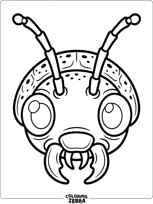 A beetle face close-up with antennae