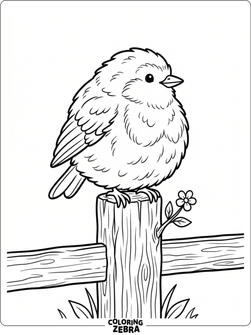 A cute fluffy bird sits on a fence post