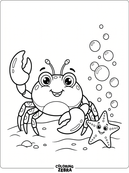 A cute crab with big eyes near a starfish