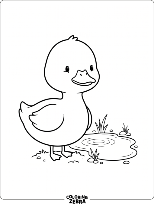 A cute easy duck beside a puddle
