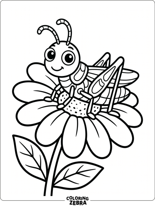 A cute grasshopper sitting on a flower petal