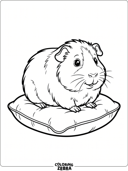 A cute guinea pig sitting on a cushion
