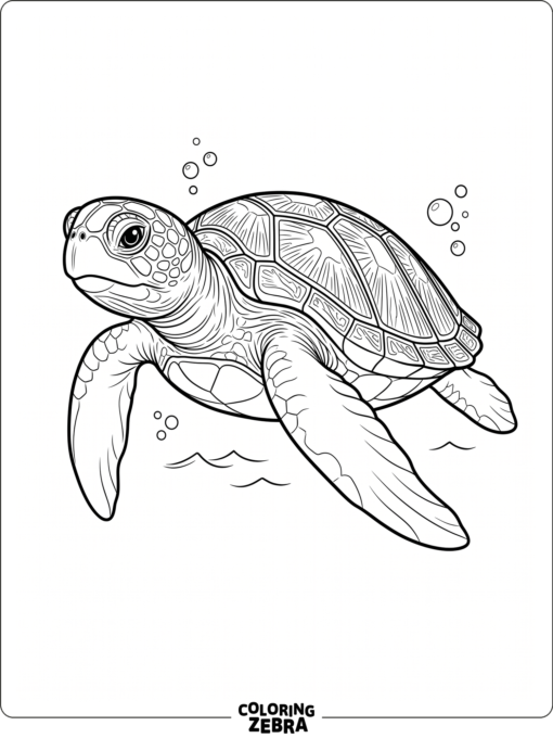A cute realistic sea turtle with detailed shell