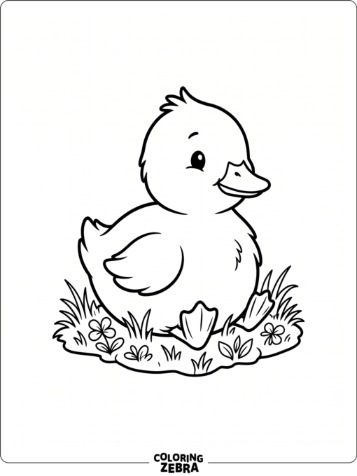 A cute duckling sitting on grass