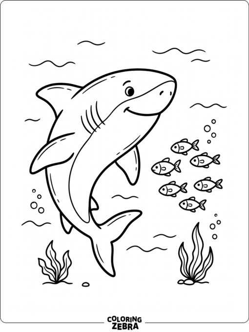 A large daddy shark swimming with small fish