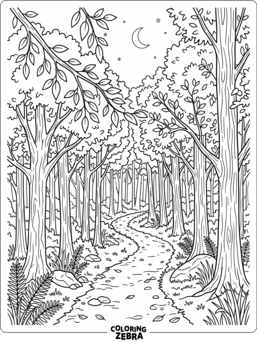 A dark forest with thick trees and a narrow trail