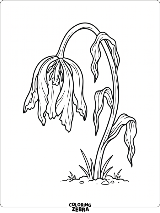 A wilted flower with drooping petals and a bent stem