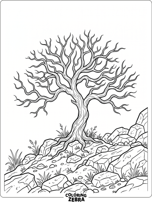 A leafless tree with twisted branches on a rocky hill