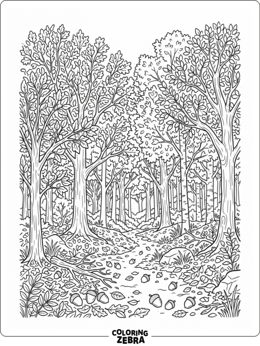 A deciduous forest with mixed trees and acorns