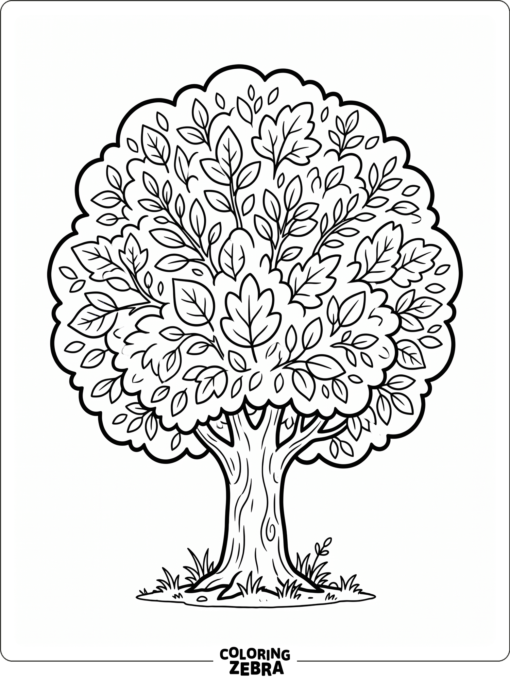 A leafy deciduous tree with a rounded crown