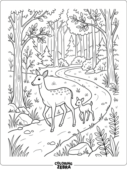 A deer and fawn walking on a forest path