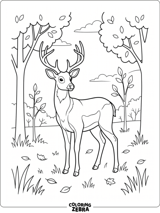 A deer stands in a quiet clearing with grass and leaves