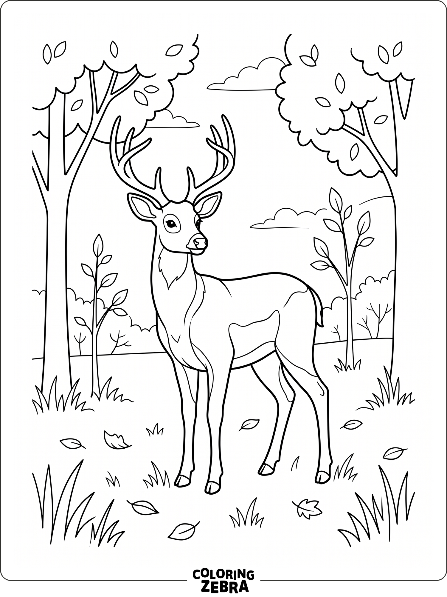 A deer stands in a quiet clearing with grass and leaves