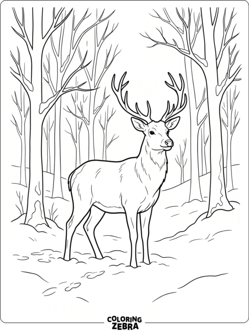 A deer standing in the snow