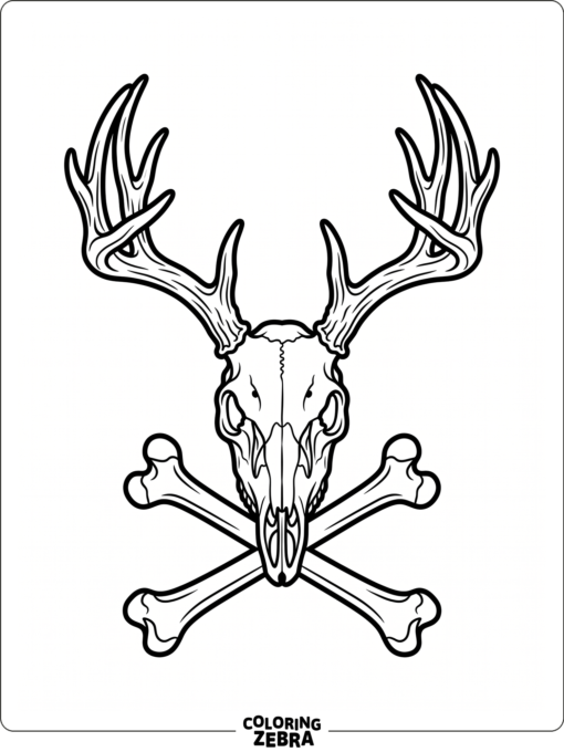 A deer skull with antlers on a plain background