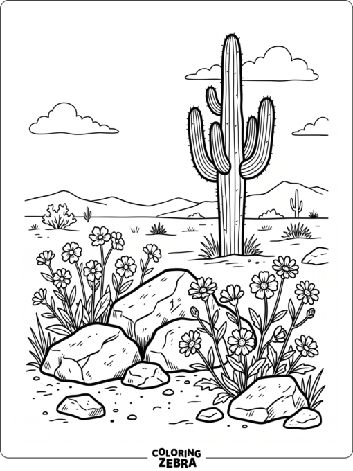 Desert flowers growing near rocks with a cactus