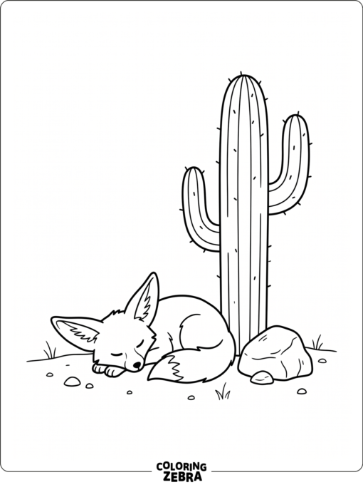 A desert fox rests beside a cactus